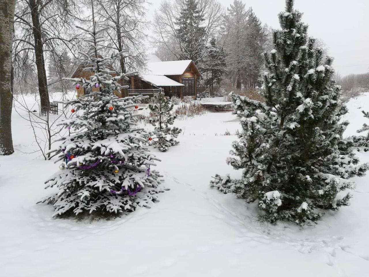 Raudonkalnis Guest House Mankiskiai Exterior photo